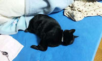 blog2009_12-23_7.jpg