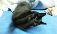 blog2009_12-23_8.jpg