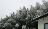 blog2010_1-3_1.jpg