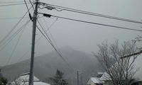 blog2010_1-3_2.jpg