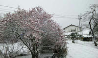 blog2010_1-3_3.jpg
