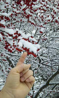 blog2010_1-3_4.jpg