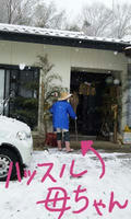blog2010_1-3_5.jpg