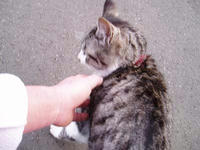 blog2010_1-8_2.jpg