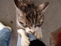 blog2010_1-8_3.jpg