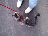blog2010_1-8_4.jpg