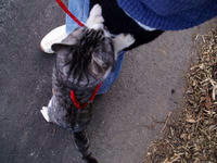 blog2010_1-8_5.jpg