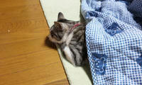 blog2010_1-16_2.jpg