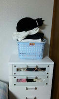 blog2010_1-16_3.jpg