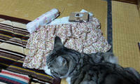 blog2010_1-23_3.jpg