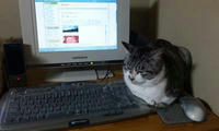 blog2010_1-23_4.jpg