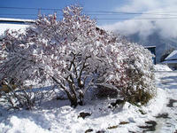 blog2010_2-2_2.jpg
