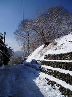 blog2010_2-2_4.jpg