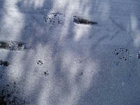 blog2010_2-2_5.jpg