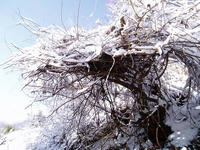 blog2010_2-2_6.jpg