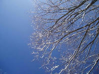 blog2010_2-2_8.jpg