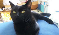 blog2010_2-9_1.jpg