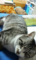 blog2010_2-14_1.jpg