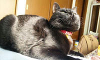 blog2010_2-22_1.jpg