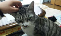 blog2010_3-1_1.jpg