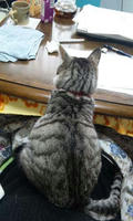 blog2010_3-1_2.jpg