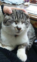 blog2010_3-1_4.jpg