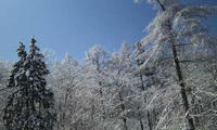 blog2010_3-27_2.jpg