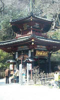 blog2010_3-27_4.jpg