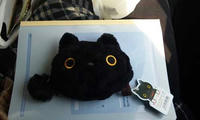 blog2010_3-27_5.jpg