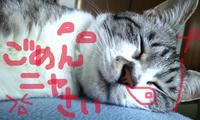 blog2010_4-3_1.jpg