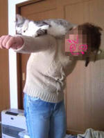 blog2010_4-4_1.jpg