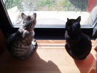 blog2010_4-7_1.jpg