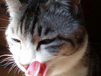 blog2010_4-7_2.jpg