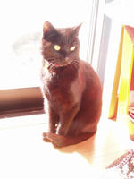 blog2010_4-7_3.jpg