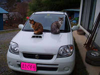 blog2010_4-7_4.jpg