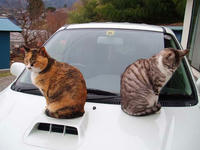 blog2010_4-7_5.jpg