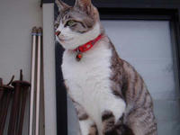 blog2010_4-7_8.jpg
