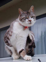 blog2010_4-7_10.jpg