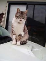 blog2010_4-7_12.jpg