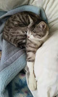 blog2010_4-16_2.jpg
