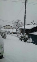 blog2010_4-17_1.jpg