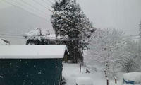 blog2010_4-17_2.jpg