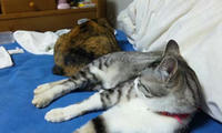 blog2010_4-17_4.jpg
