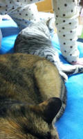 blog2010_4-17_5.jpg