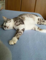 blog2010_4-21_1.jpg
