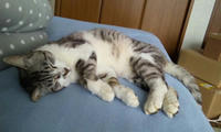 blog2010_4-21_2.jpg