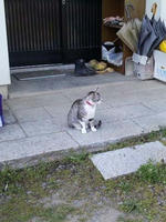 blog2010_4-21_3.jpg