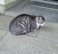 blog2010_4-21_5.jpg