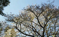 blog2010_4-21_7.jpg