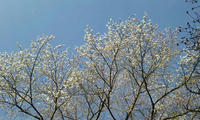 blog2010_4-21_8.jpg